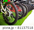 the Bicycles for sale in department stores 81137518