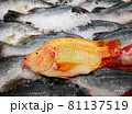 Chilled fresh fish sold in the supermarkets 81137519
