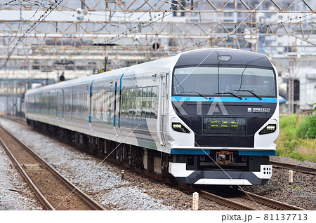 東海道本線　平塚　JR東日本　E257系2000番台　NA-02編成（大宮）　踊り子 81137713