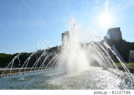 公園内の噴水と水飛沫 公園内の噴水と水飛沫 81137786