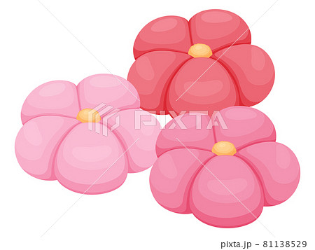 和菓子のイラスト_ねりきり_梅 和菓子のイラスト_ねりきり_梅 81138529