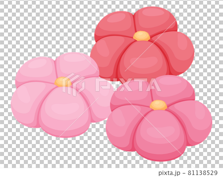 和菓子のイラスト_ねりきり_梅 和菓子のイラスト_ねりきり_梅 81138529
