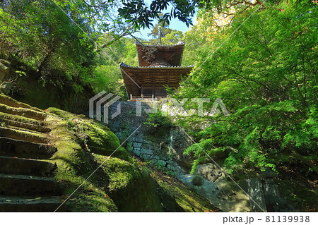 【香川県】 四国霊場第71番札所「深緑の秋 弥谷寺」（多宝塔） 81139938