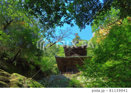 【香川県】 四国霊場第71番札所「深緑の秋 弥谷寺」（多宝塔） 81139941