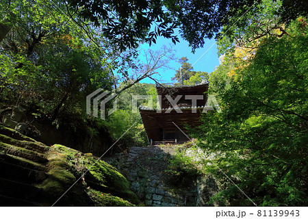 【香川県】 四国霊場第71番札所「深緑の秋 弥谷寺」（多宝塔） 81139943