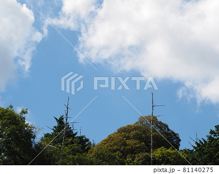 夏空と雲 81140275