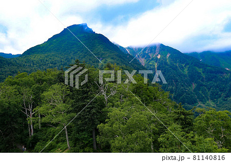 北海道の夏　大雪山　黒岳 81140816