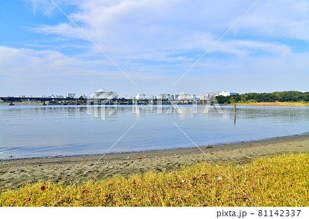 大井ふ頭中央海浜公園より東京モノレール 大井競馬場前駅方面を望む(東京都品川区)【2020.11】 81142337