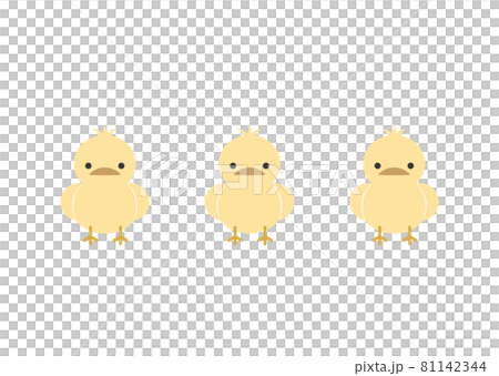 三隻小雞排成一排的插圖 81142344