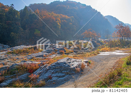 荒川 長瀞岩畳船着場付近 秋の風景 紅葉の景色 荒川 長瀞岩畳船着場付近 秋の風景 紅葉の景色 81142405