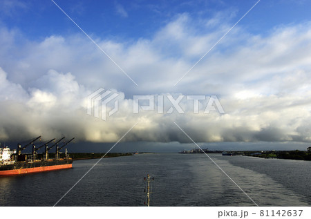 ブリスベン港の朝の港湾風景 ブリスベン港の朝の港湾風景 81142637