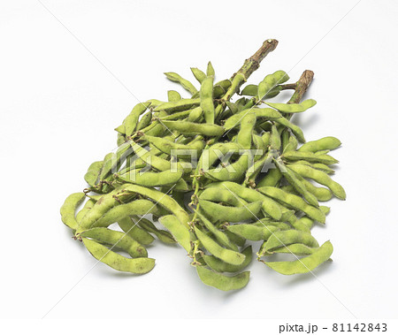 枝豆 枝豆 81142843