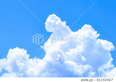 爽やかな夏の青空 爽やかな夏の青空 81142927