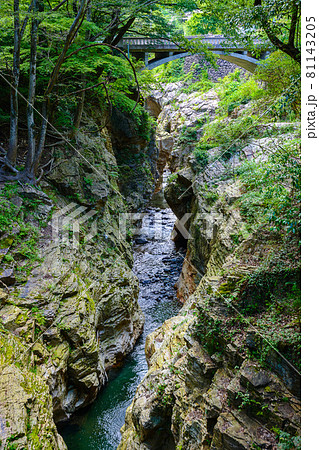 納涼渓谷 81143205