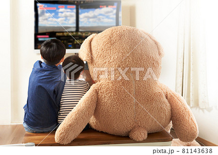 クマと並んでゲームを楽しむ男の子の後ろ姿 81143638