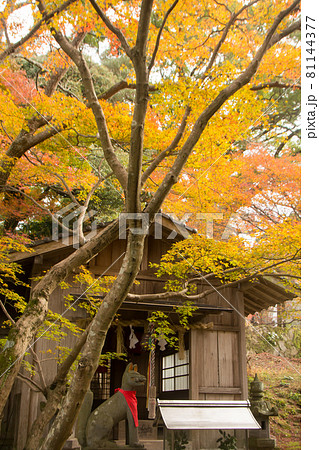 竈門神社の黄葉 81144377