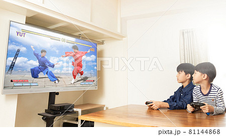 リビングでテレビゲームを楽しむ2人の男の子 81144868