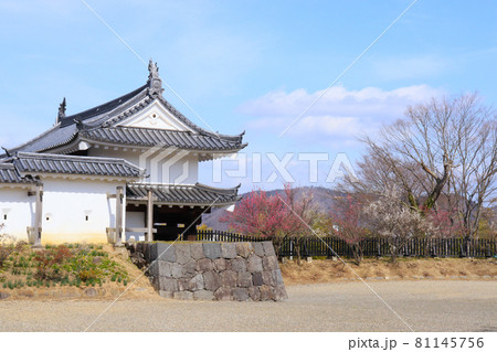 城門と梅の花　白石城本大手門と本丸広場の梅　宮城県白石市 81145756