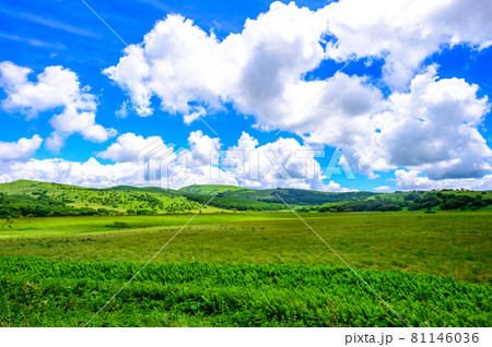 草原と青空 草原と青空 81146036