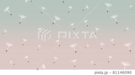 たんぽぽの種が飛ぶ背景イラストイメージ たんぽぽの種が飛ぶ背景イラストイメージ 81146090