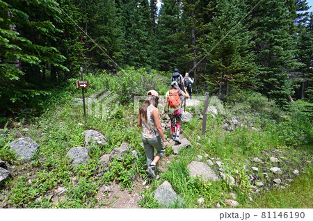 Hikers on Hassell Lake Trail in Arapaho National Forest, Colorado. Hikers on Hassell Lake Trail in Arapaho National Forest, Colorado. 81146190