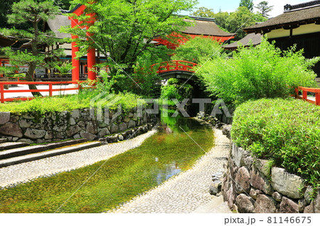 世界遺産 下鴨神社 みたらし川 世界遺産 下鴨神社 みたらし川 81146675