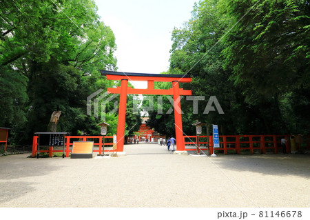 世界遺産　下鴨神社　南口鳥居 81146678