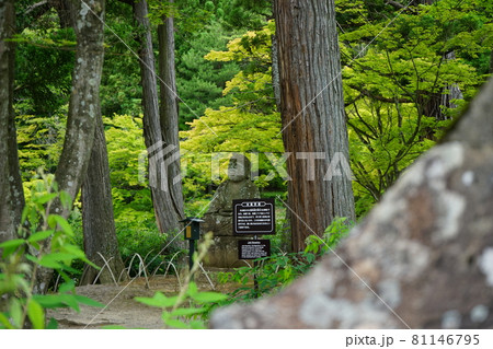 世界遺産平泉毛越寺 常行堂のお地蔵さん 世界遺産平泉毛越寺 常行堂のお地蔵さん 81146795