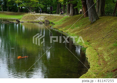世界遺産平泉毛越寺 81147255