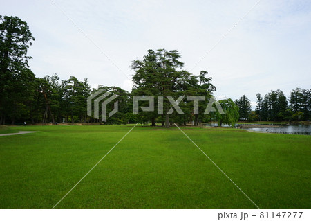 世界遺産平泉毛越寺 81147277