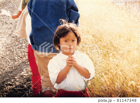 ススキを持った日本人の小さい女の子 ススキを持った日本人の小さい女の子 81147349