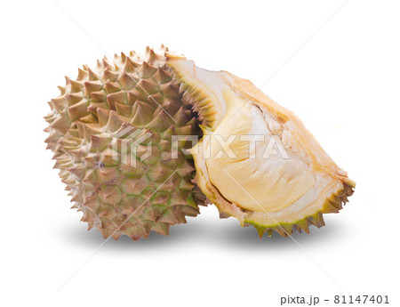 King of fruits, durian on white background King of fruits, durian on white background 81147401
