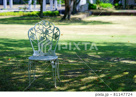 夏の公園・木漏れ日のこかげ9 81147724