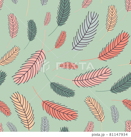 Feathers seamless pattern. Pattern feathers 81147934
