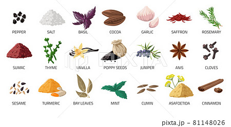 Spice set. Cartoon food seasoning. Cooking ingredients for recipe. Garlic and basil leaves. Natural cloves or cumin. Spicy peppercorn. Vector organic fresh or dry powder condiments Spice set. Cartoon food seasoning. Cooking ingredients for recipe. Garlic and basil leaves. Natural cloves or cumin. Spicy peppercorn. Vector organic fresh or dry powder condiments 81148026