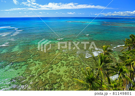 ハワイ オアフ島 ゴールドコーストの美しい海 ハワイ オアフ島 ゴールドコーストの美しい海 81149801