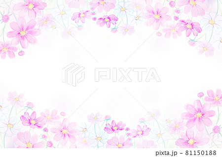虹とコスモス畑　水彩イラスト 81150188