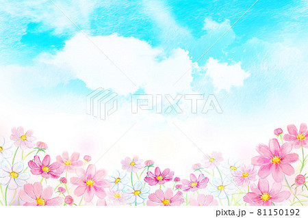 虹とコスモス畑 水彩イラスト 虹とコスモス畑 水彩イラスト 81150192