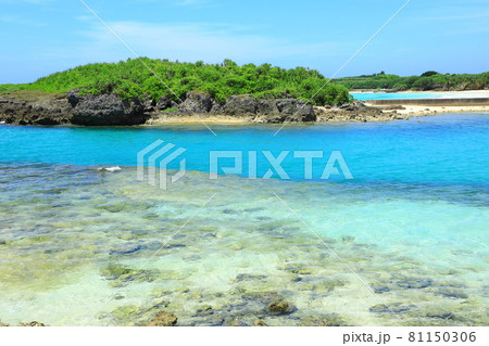 渡口の浜 渡口の浜 81150306