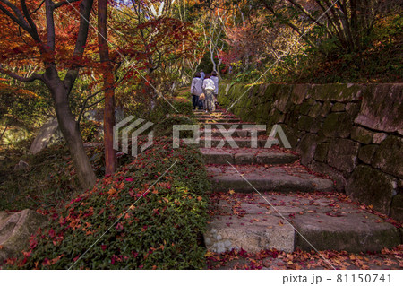 広島県三原市三景園の紅葉 落葉の石段を歩く人の写真素材
