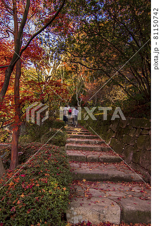 広島県三原市三景園の紅葉 落葉の石段を歩く人の写真素材