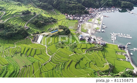 唐津市肥前町大浦の棚田と漁港~空撮 唐津市肥前町大浦の棚田と漁港~空撮 81150875
