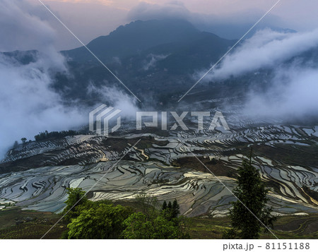 中国雲南省元陽 多依樹梯田 / Duoyishu, Yuanyang, Yunnan, China 81151188