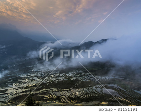 中国雲南省元陽 多依樹梯田 / Duoyishu, Yuanyang, Yunnan, China 81151191