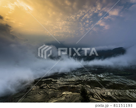中国雲南省元陽 多依樹梯田 / Duoyishu, Yuanyang, Yunnan, China 中国雲南省元陽 多依樹梯田 / Duoyishu, Yuanyang, Yunnan, China 81151193