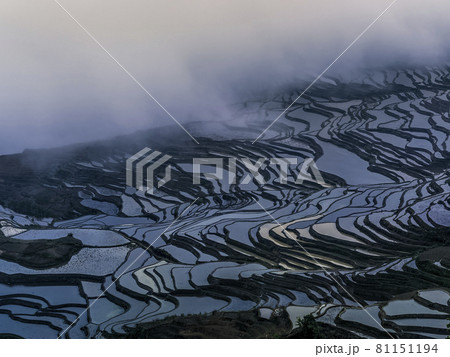 中国雲南省元陽 多依樹梯田 / Duoyishu, Yuanyang, Yunnan, China 中国雲南省元陽 多依樹梯田 / Duoyishu, Yuanyang, Yunnan, China 81151194