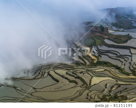 中国雲南省元陽 多依樹梯田 / Duoyishu, Yuanyang, Yunnan, China 中国雲南省元陽 多依樹梯田 / Duoyishu, Yuanyang, Yunnan, China 81151195