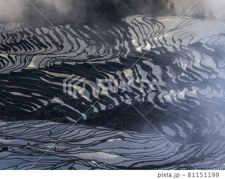 中国雲南省元陽 多依樹梯田 / Duoyishu, Yuanyang, Yunnan, China 81151199
