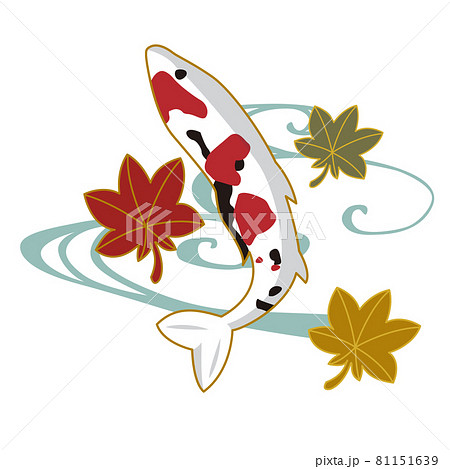 モダンでかわいい鯉と紅葉のカットイラストのイラスト素材