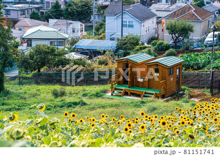 町田市の三ツ目山公園から見る相模原市街 81151741